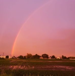 Meet your Posher, Doussou